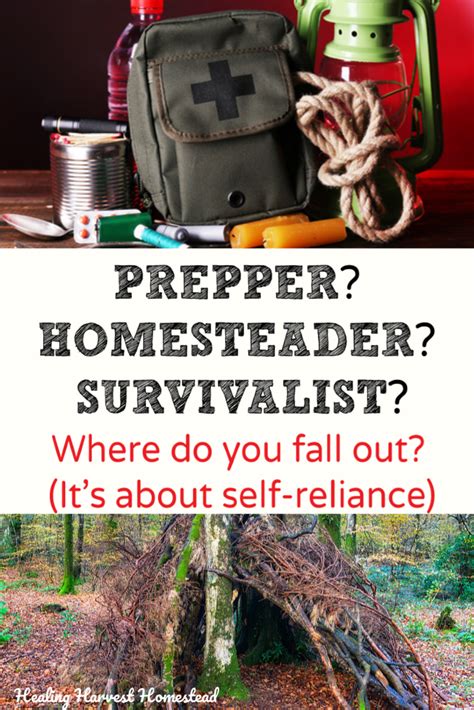 Image result for Prepper Homestead