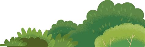 ROI: Return on Investment Meaning and Formulas | Salesforce India