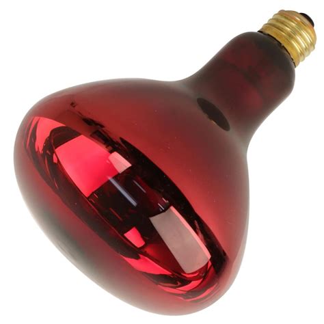 Image result for Feit Electric Bulb Graphics