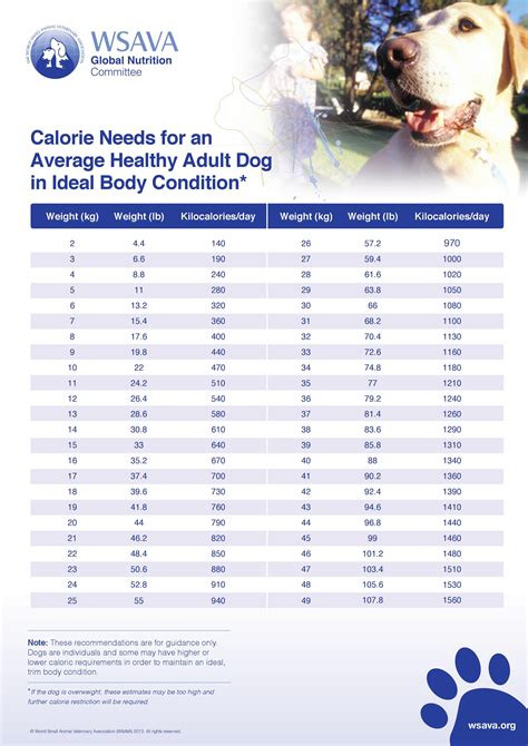 Dog Food Brands That Meet Wsava Guidelines at Herbert Hamilton blog