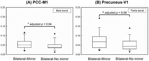Modulation of Functional Connectivity in Response to Mirror Visual ...