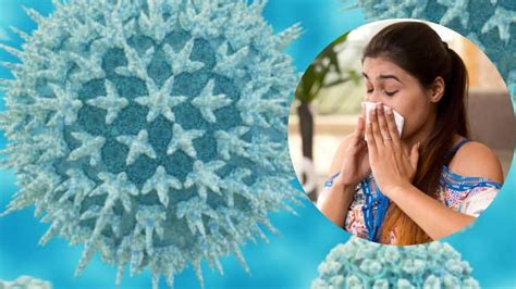 Delhi Faces Worse H1N1 Swine Flu Outbreak in Years As Cases Rise; Here ...