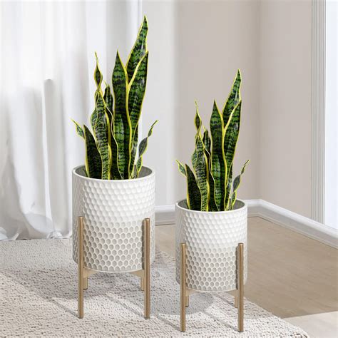 Indoor Flower Pots