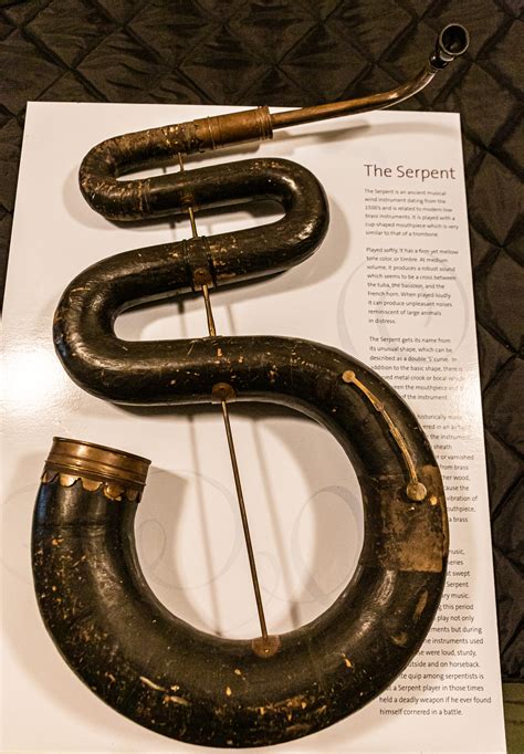 Image result for Serpent Musical Instrument