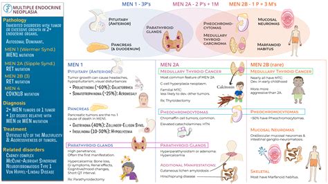 Clinical Pathology: Multiple Endocrine Neoplasia (MEN) | ditki medical & biological sciences