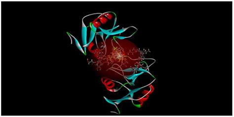 Infectious Diseases in the Caribbean and South America: Epidemiological ...