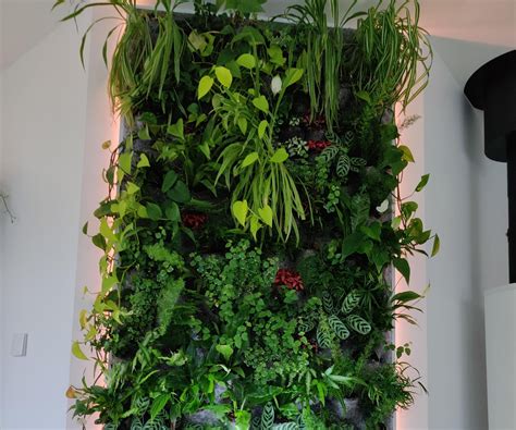 Diy Indoor Living Wall