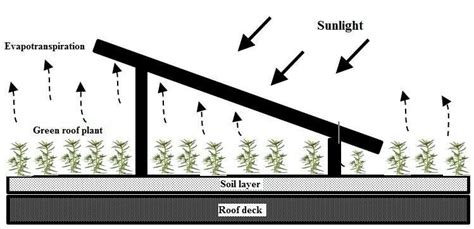 Solar Energy 的图像结果