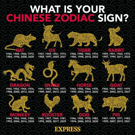 Chinese New Year: Each Zodiac sign explained