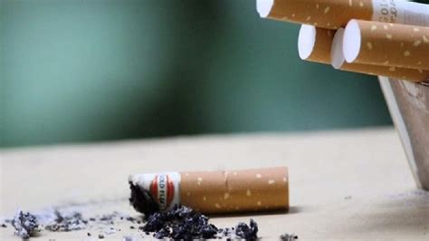 Special drive against gutkha: 490 kg seized in one week