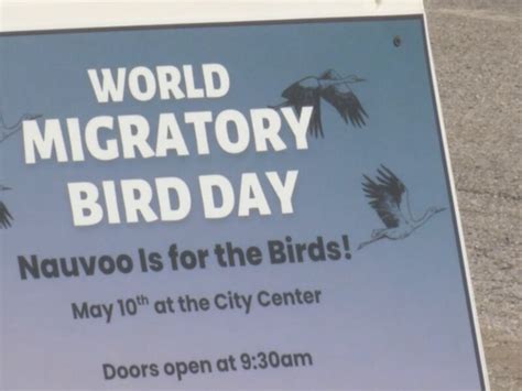 WGEM | Local News, Weather, Sports | Quincy, IL