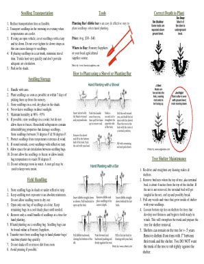 Fillable Online dnr state md Planting Southern Pines: A Guide to ...