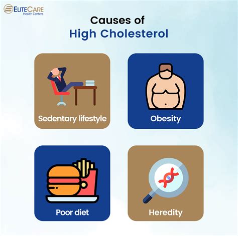 What Causes High Cholesterol