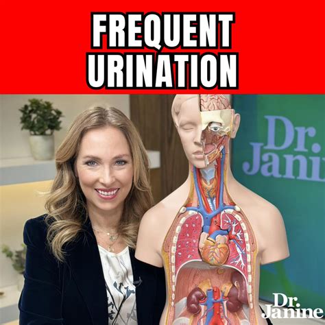 Dr. Janine Show Fasting, Leptin, Fake Olive Oil, Adrenal Fatigue | Listen Notes