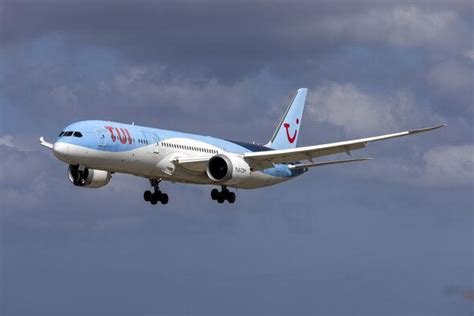 TUI flight makes emergency landing in UK after bird strike as airline ...