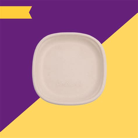 9 inch (23cm) plates (Square) made of Unbleached Brown Bagasse – SADHOBPI