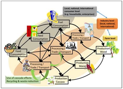 Sustainability | Special Issue : Advances in Food and Non-Food Biomass ...