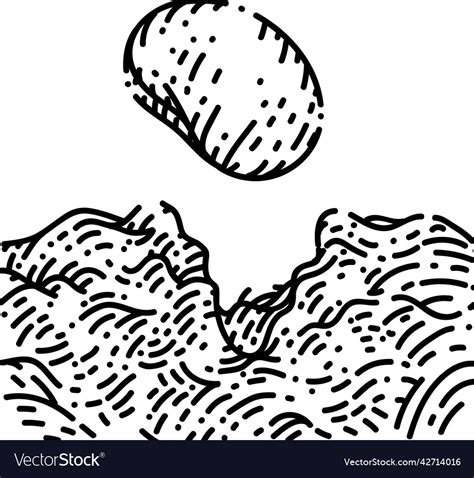 Image result for Seed Draw Script