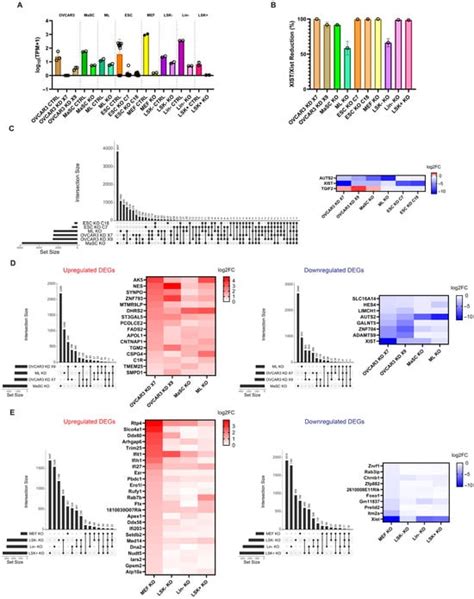 Non-Coding RNA | An Open Access Journal from MDPI