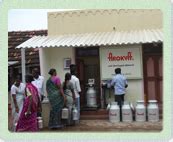 Hatsun Dairy Ingredients Technology, quality product, Quality control labs