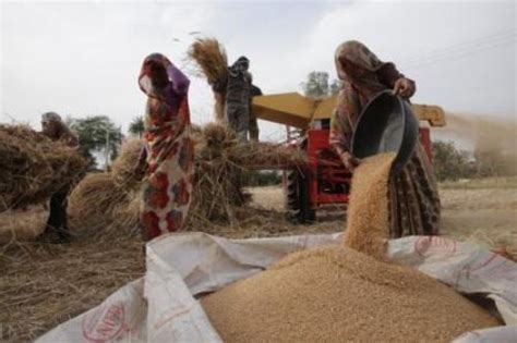 Transformation in agriculture needed to cope with climate change