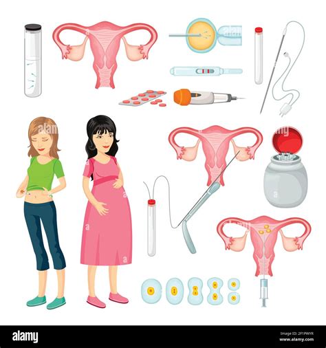 Image result for Female Reproductive System Animation