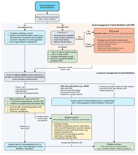 Atrial Fibrillation Treatment