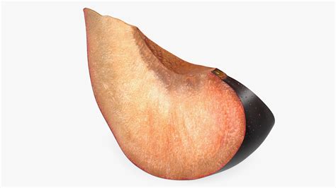 Purple Plum Slice 3D | 3D Molier International