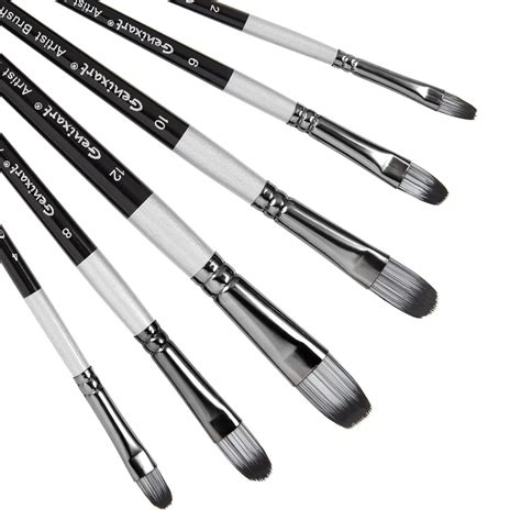 Genixart Filbert Paint Brushes Set, 6 Pcs Artist Paintbrushes for ...