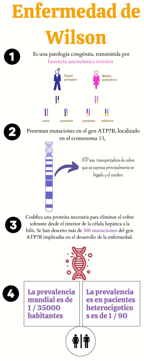 Efermedad de Wilson - a3wsdretfyguhijolp´ñ - Enfermedad de Wilson Es ...
