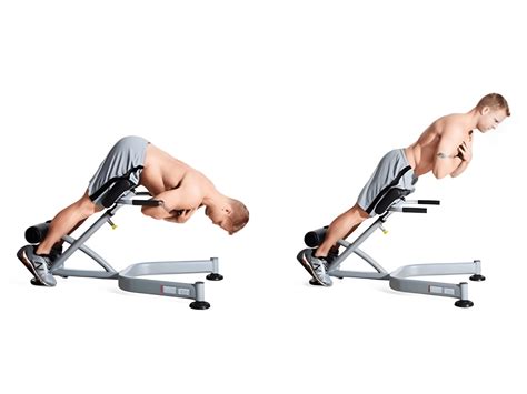 Tutorial Back Extension 的图像结果