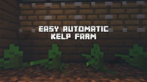 Image result for Auto Kelp Block Farm Java 1 21 5
