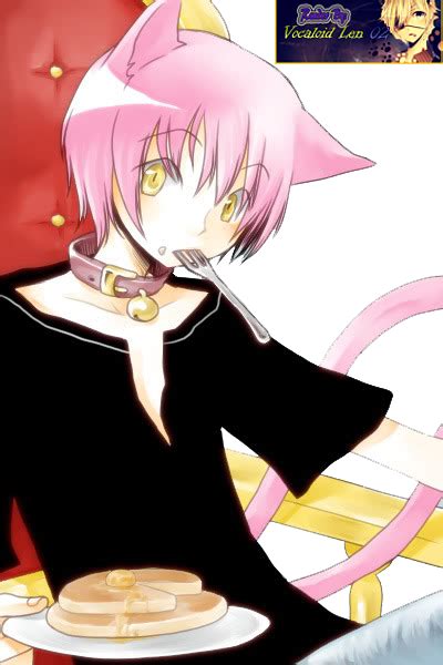 Neko HUD Script 的图像结果