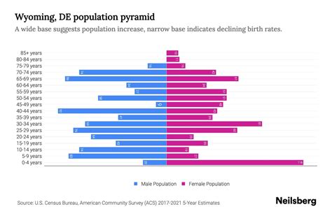 Wyoming, DE Population by Age - 2023 Wyoming, DE Age Demographics ...