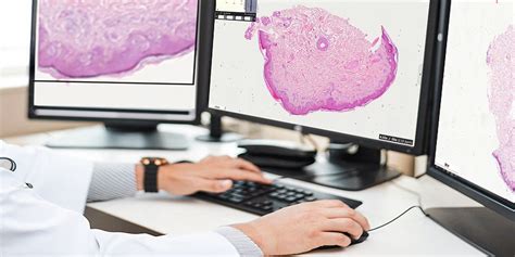 Image result for Virtual Microscopy Applications