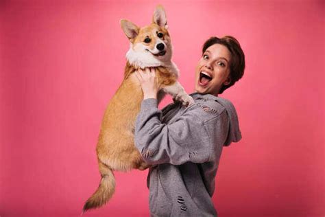 New to Pet Parenting? Learn About the Dogs That Are Beginner-Friendly!