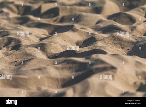 Image result for Project Flash Report Examples