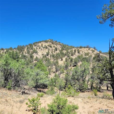55 Paint Pony Trail, Pie Town, NM 87827 [Lot/Land] | Homes.com