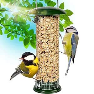GrayBunny GB-6856 Premium Steel Sunflower Seed and Peanut Feeder, 9.5 ...