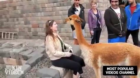 Image result for Challenge Fail Compilation