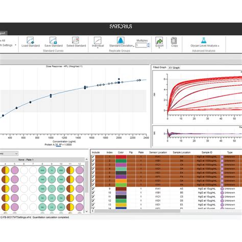 Octet Data Analysis Software 的图像结果