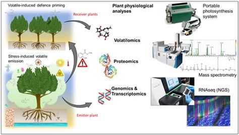 Stress-Induced Volatile Emissions and Signalling in Inter-Plant ...