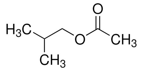 酢酸プロピル ≥99.5% | Sigma-Aldrich
