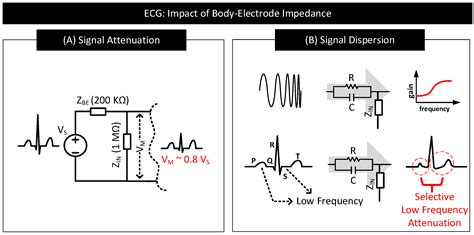 Human Body–Electrode Interfaces for Wide-Frequency Sensing and ...