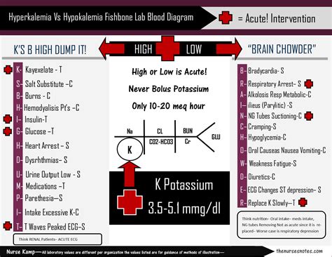 Pin on LABS & DIAGNOSTICS