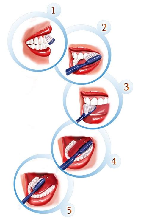 Teeth Cleaning Tutorial 的图像结果