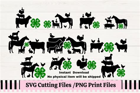 4H Stacked Animals Bundle SVG/PNG, Farm Animal Silhouette Livestock, County Fair - Etsy | Animal ...