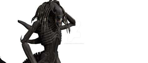 Image result for How to Draw the Predalien