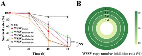 Taxifolin Inhibits WSSV Infection and Transmission by Increasing the ...