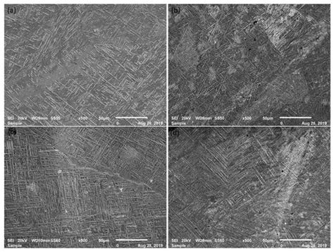 The Effect of Laser Shock Processing on the Anti-Corrosion Performance ...